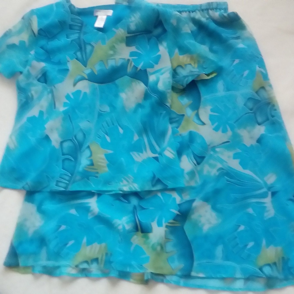 Skirt and top